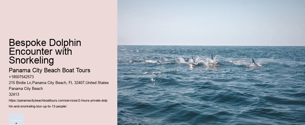 Bespoke Dolphin Encounter with Snorkeling