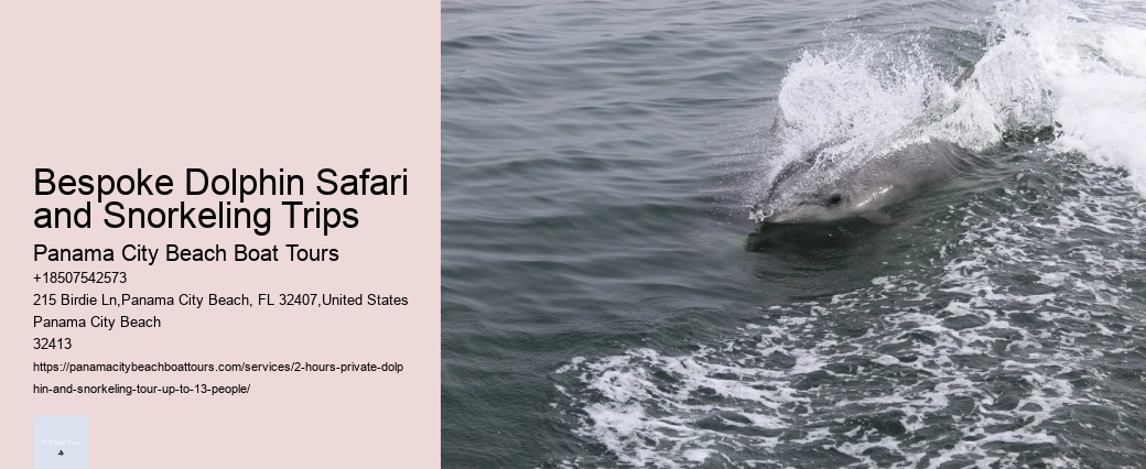 Will Dolphins Let You Touch Them