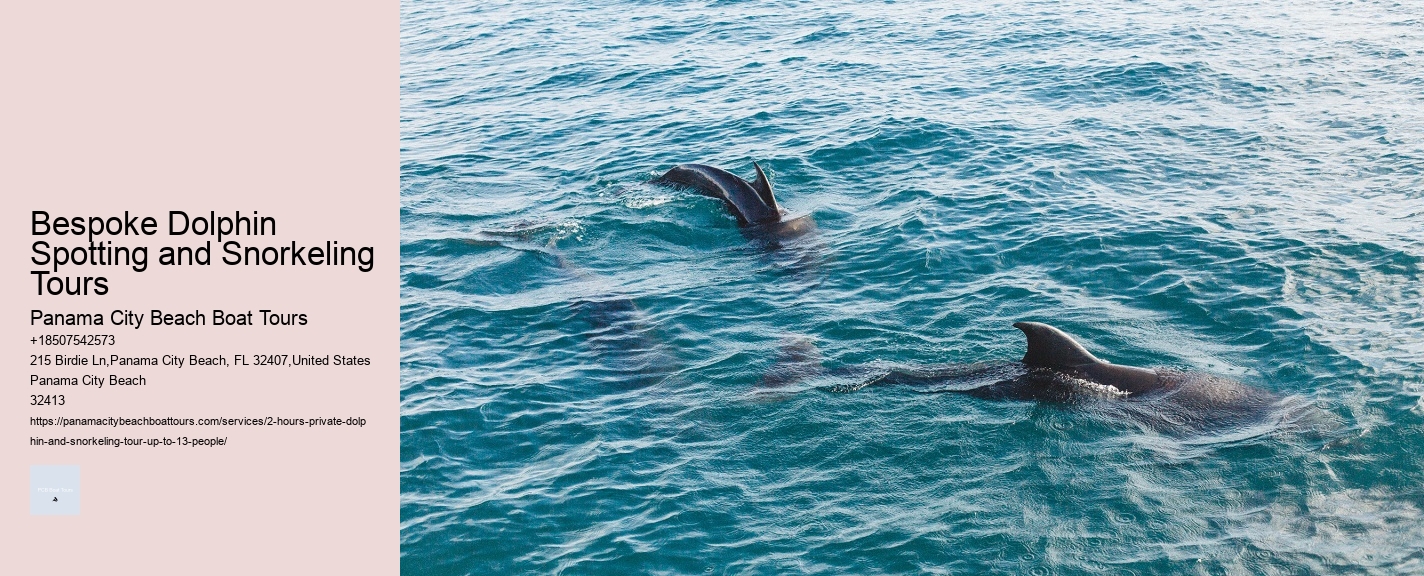 Bespoke Dolphin Spotting and Snorkeling Tours