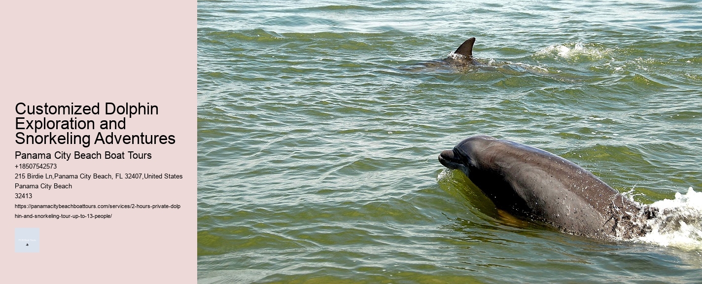 Customized Dolphin Exploration and Snorkeling Adventures