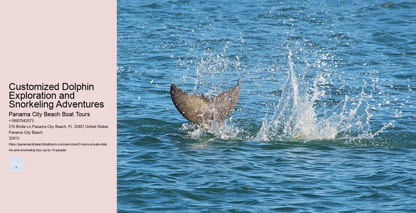 Dolphin Tours Johns Island