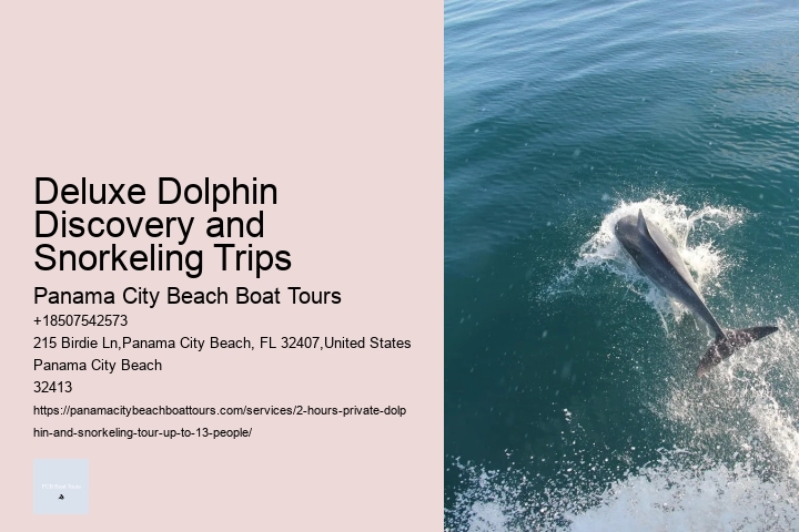 Aberdeen Dolphin Tours