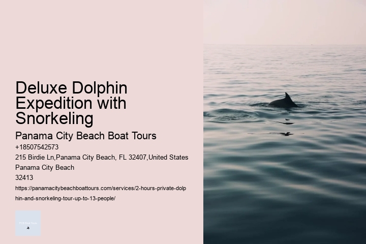Deluxe Dolphin Expedition with Snorkeling