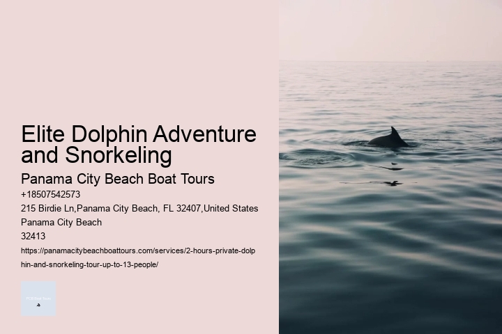 Intimate Dolphin Swim and Snorkeling Trips