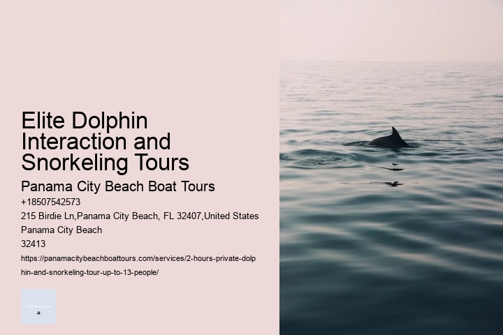 Elite Dolphin Interaction and Snorkeling Tours