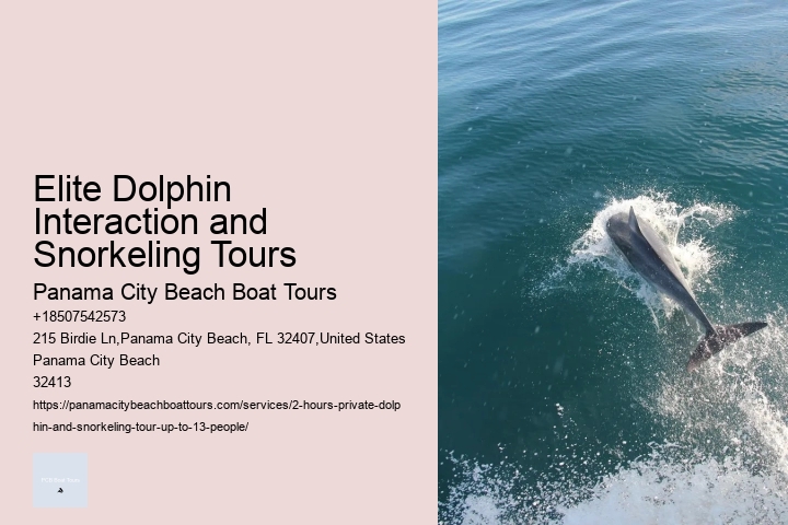 Anna Maria Island Dolphin Tours