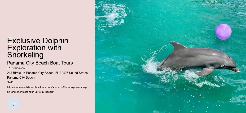 Dolphin Tours Tampa