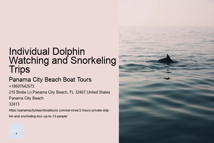 Individual Dolphin Watching and Snorkeling Trips