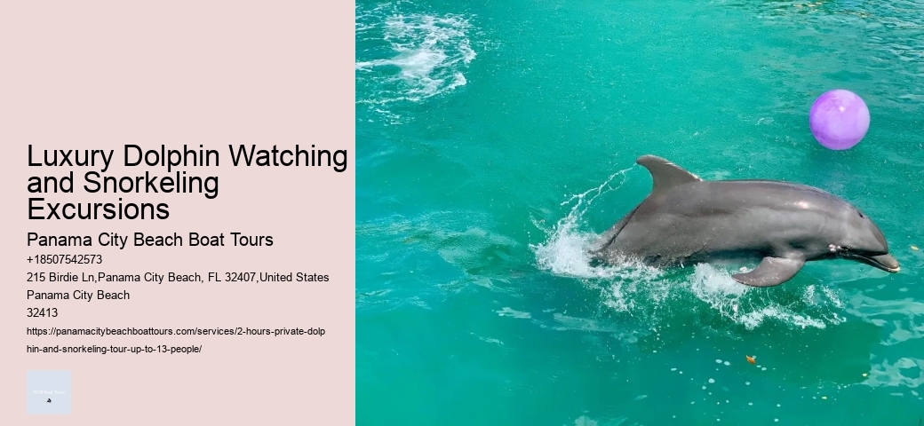 Dolphin Tours Beaufort Sc