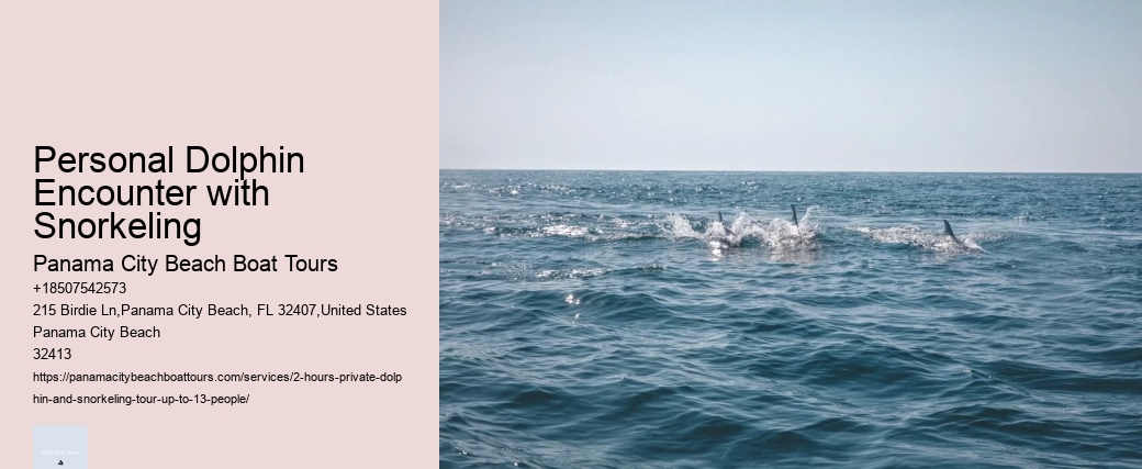 Personal Dolphin Encounter with Snorkeling