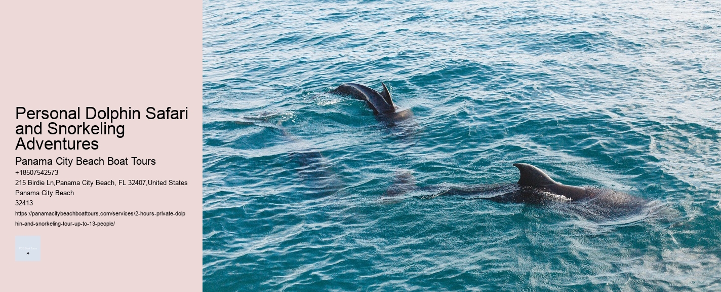 Personal Dolphin Safari and Snorkeling Adventures