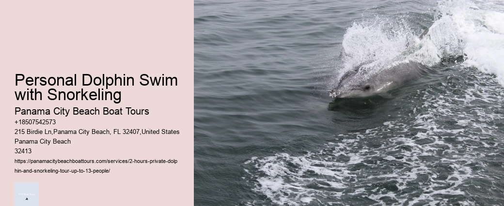 Dolphin Snorkeling Oahu