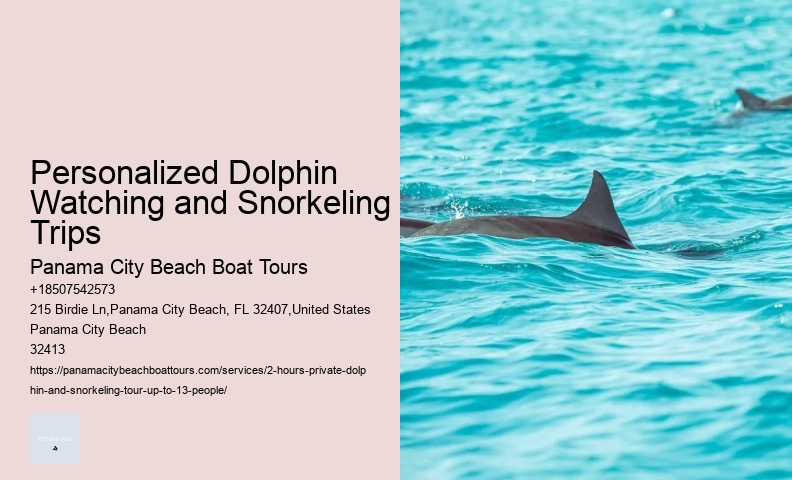 Do Dolphins Really Protect Humans From Sharks