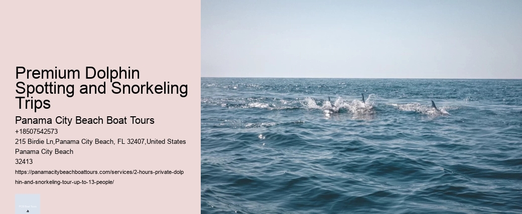 What Is The Natural Enemy Of Dolphins