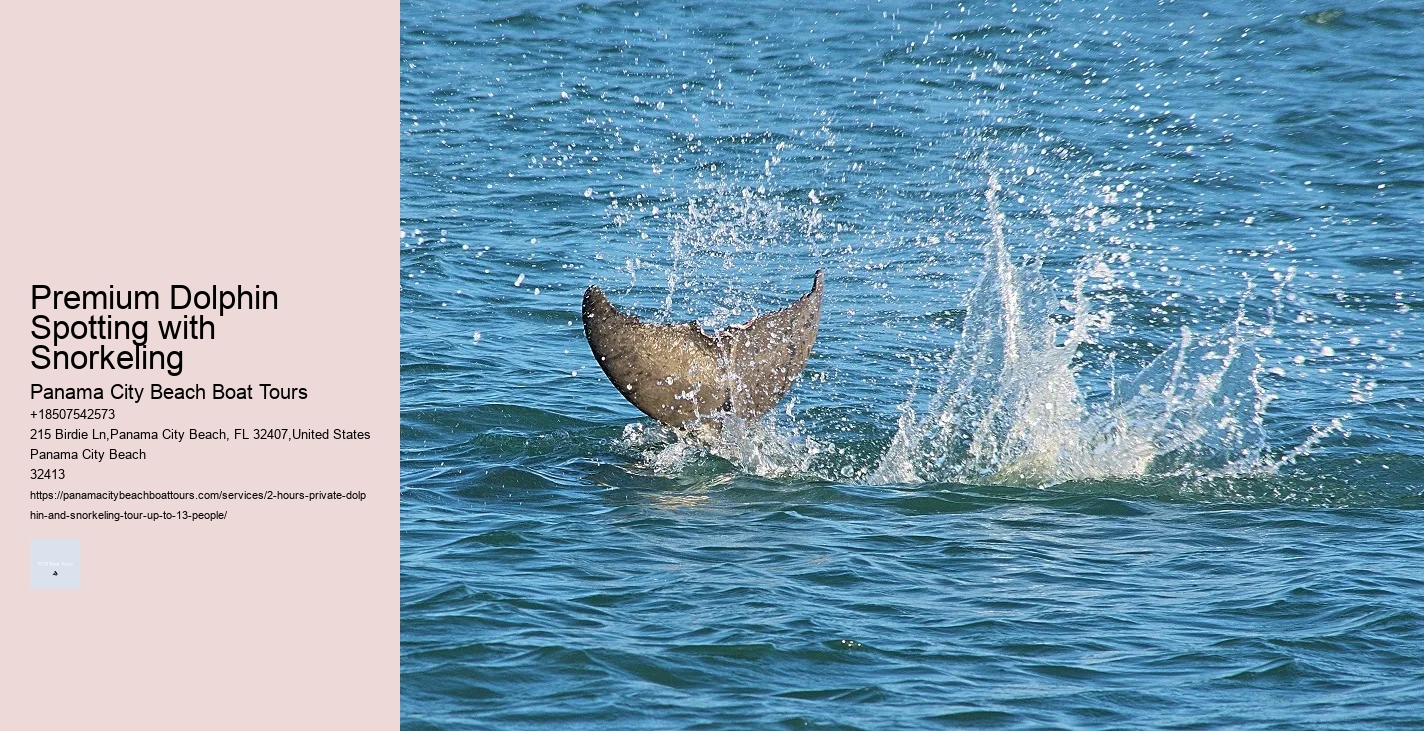 Personalized Dolphin Watching and Snorkeling Trips