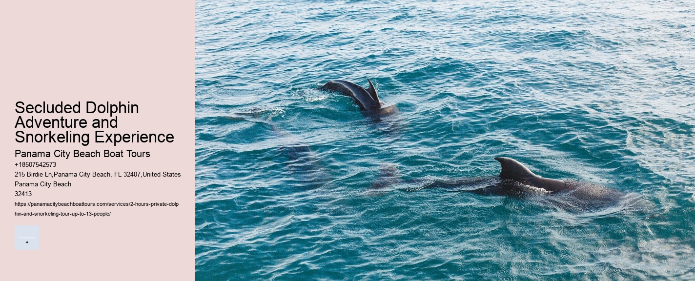 Kitty Hawk Dolphin Tours