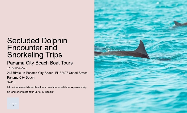 Dolphin Tours Sarasota