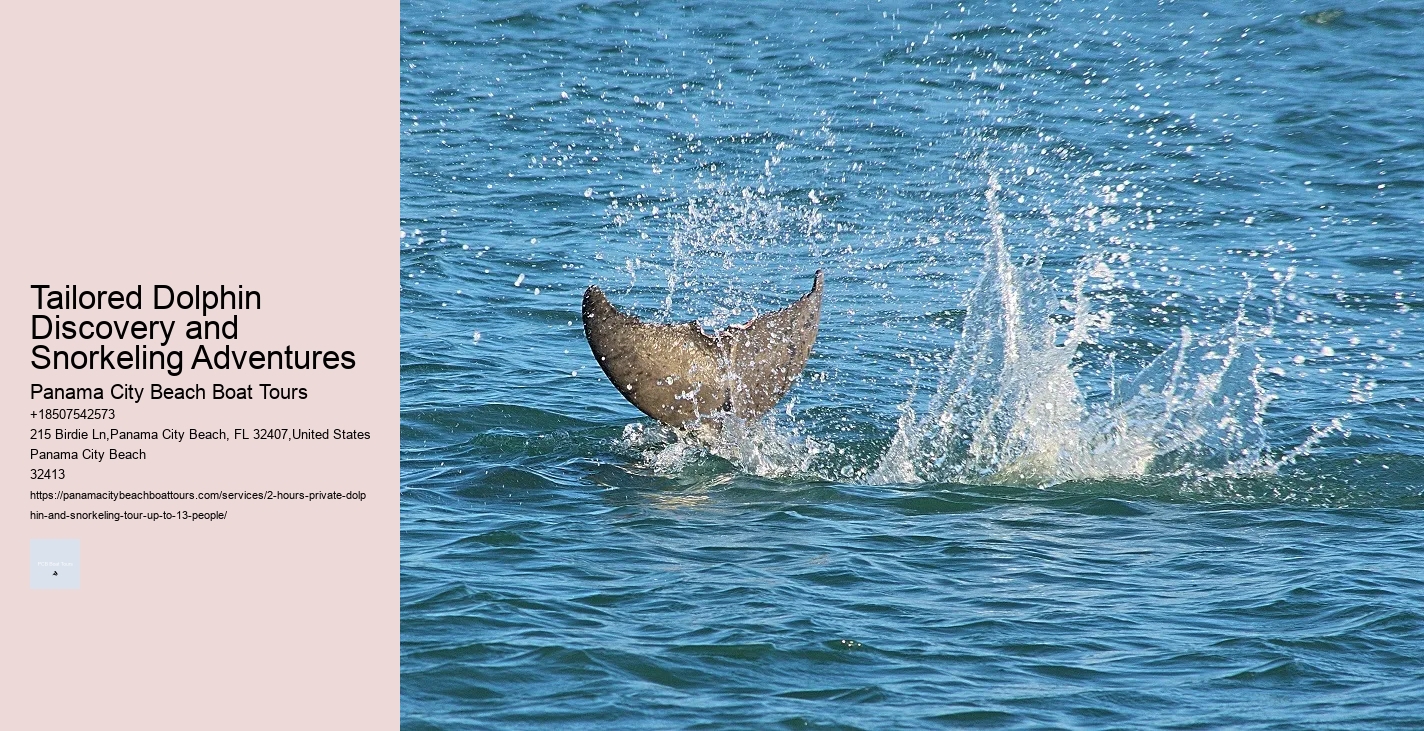 Estero Dolphin Tours