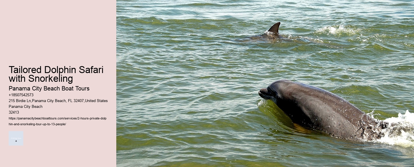 Vilano Beach Dolphin Tours