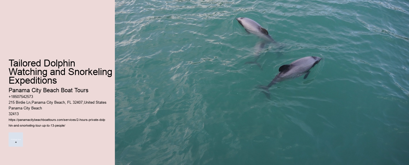 Tailored Dolphin Watching and Snorkeling Expeditions