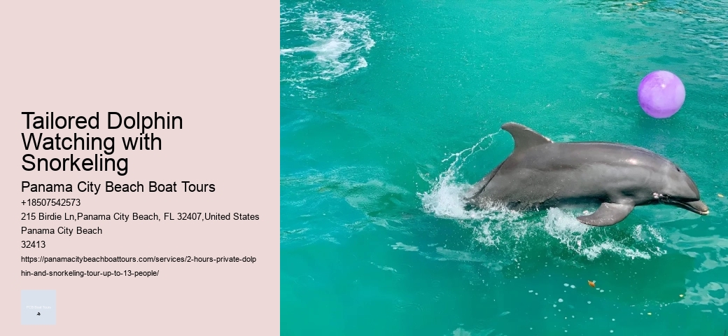 Dolphin Tours Clearwater Florida