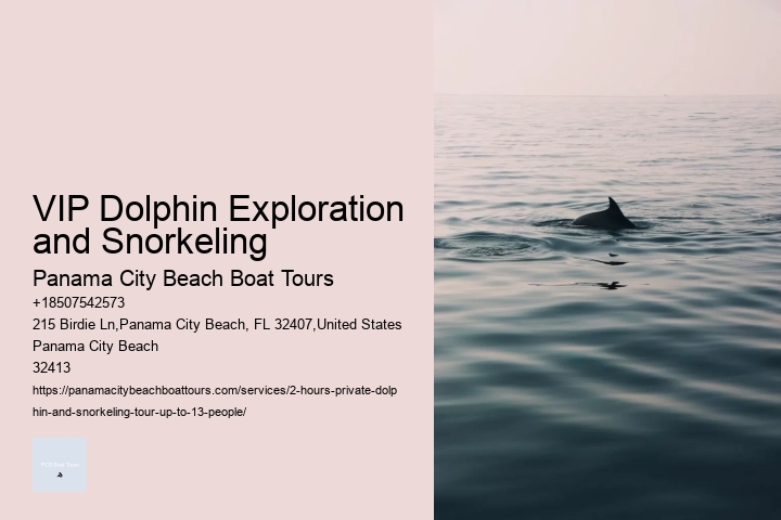 VIP Dolphin Exploration and Snorkeling